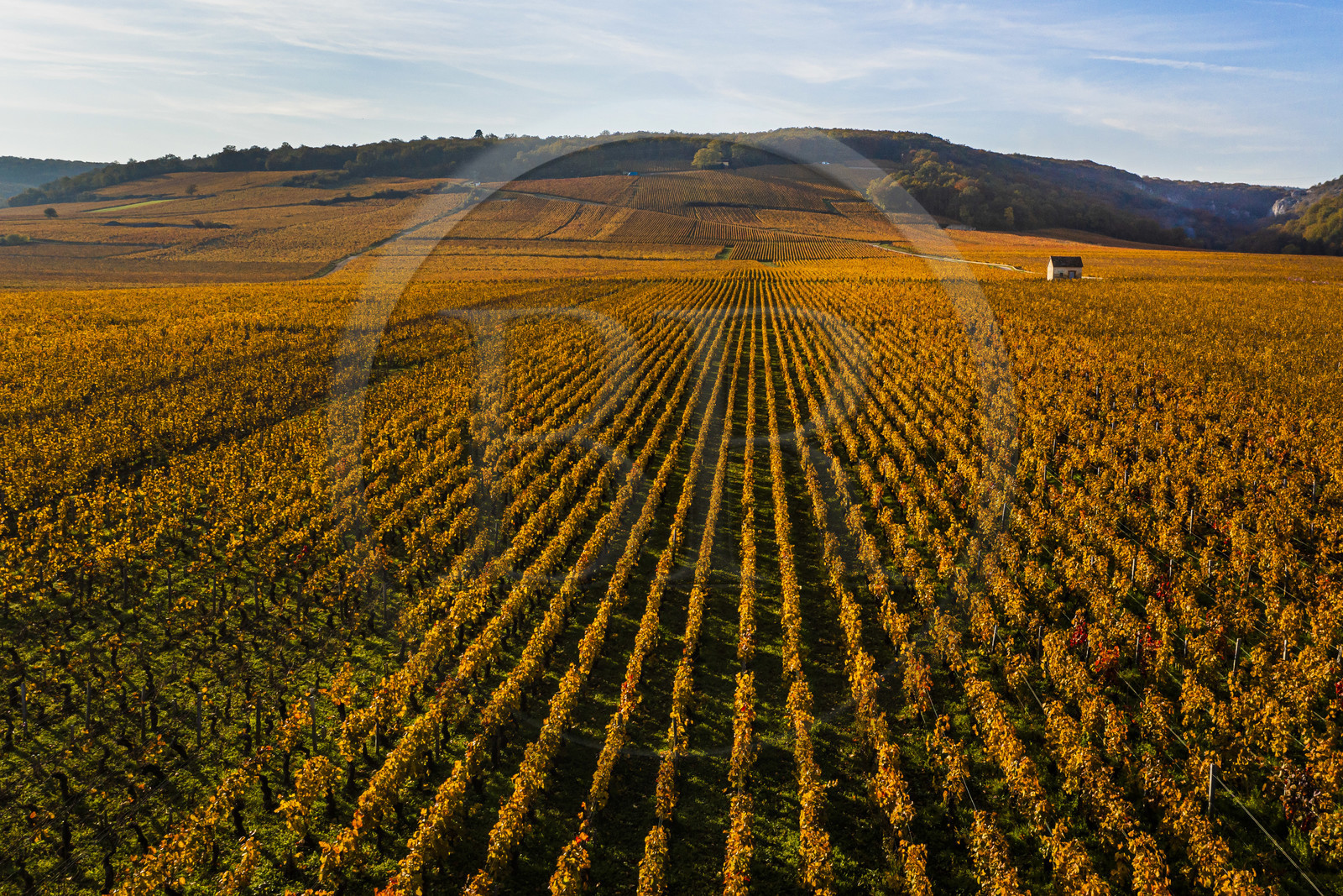 France, Côte-d'Or (21), Paysage culturel des climats de Bourgogne classés Patrimoine Mondial de l'UNESCO, Vougeot, Route des Grands Crus, le vignoble et le chateau du Clos de Vougeot (vue aérienne)