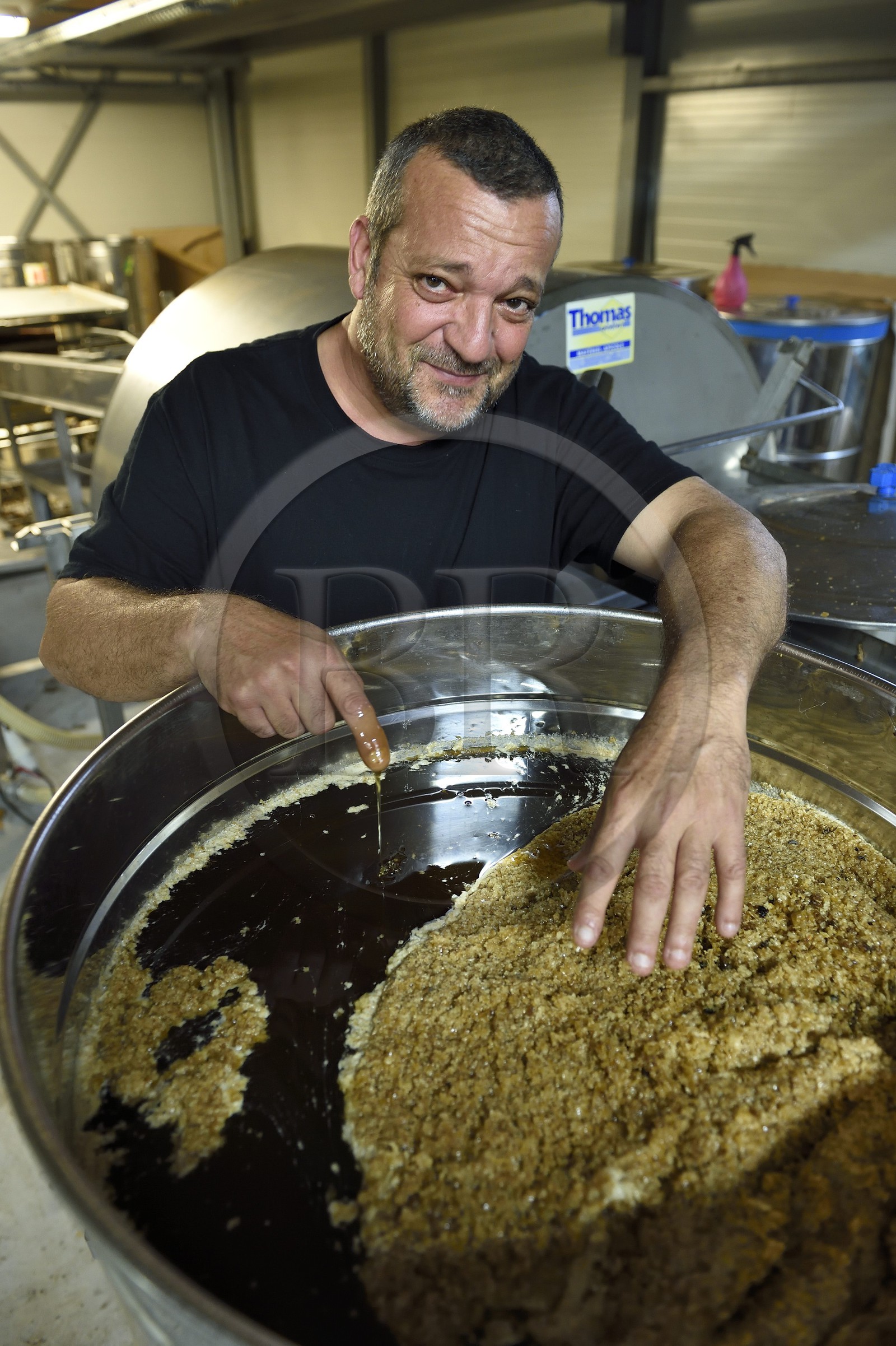 France, Corse-du-Sud (2A), Vallée du Prunelli, Ocana, Le jardin des Abeilles, l'apiculteur Denis Casalta présente son miel