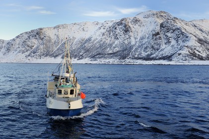 Norvège, Nordland, iles des Westeralen, région de Myre, bateau de pêche du cabillaud skrei