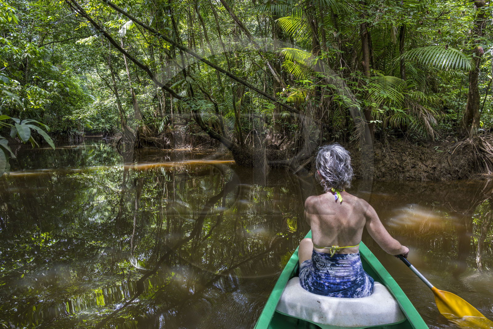 France, Guyane, Kourou, camp Maripas dans la forêt tropicale, découverte en canoé d'une crique, petite rivière, affluent du fleuve Kourou