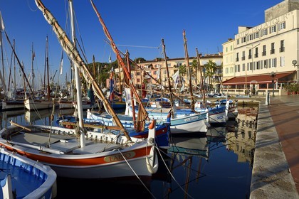 France, Var, Sanary-sur-Mer, traditional fishing boats called pointus in the port