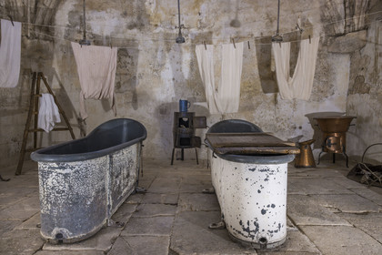 France, Bouches du Rhone, Regional Natural Park of the Alpilles, Saint Remy de Provence, Saint-Paul-de-Mausole monastery, the historic psychiatric asylum the Maison de santé Saint-Paul where Van Gogh was interned in 1889-1890