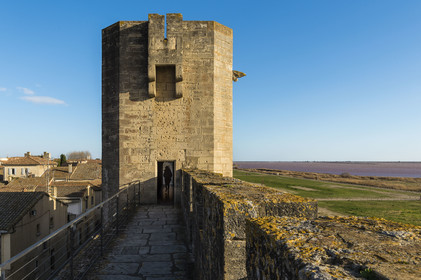 France, Gard (30), Aigues-Mortes, Tour de la Porte de l'Organeau et chemin de ronde sur les remparts sud
