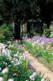 France, Eure (27), Giverny, jardin de Claude Monet, fleurs de mai