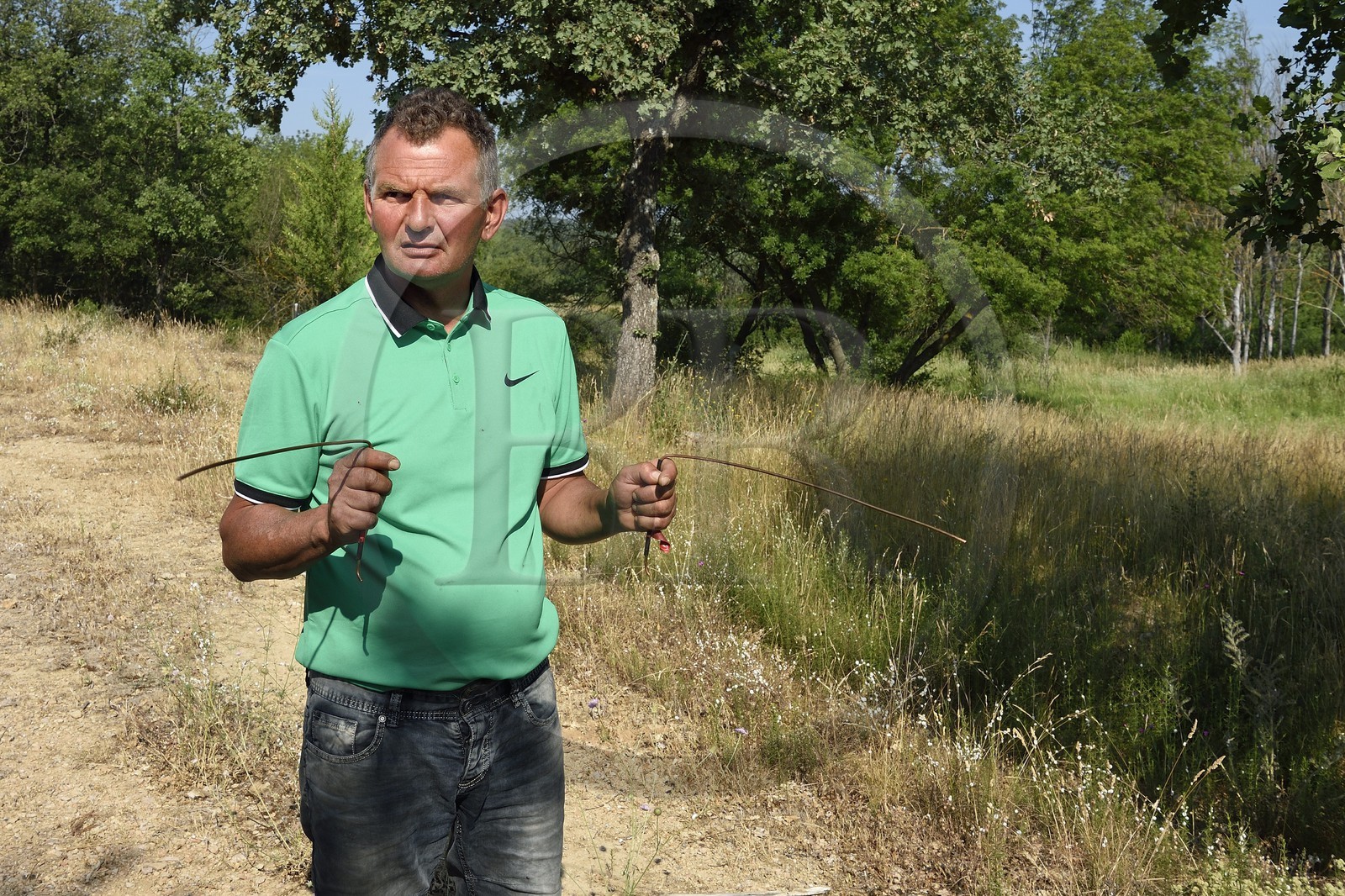 France, Var (83), Provence Verte, Bras, domaine de la maison d'hotes Le Peyrourier, le sourcier et trufficulteur Philippe Boit cherche l'eau à l'aide de ses baguettes en cuivre