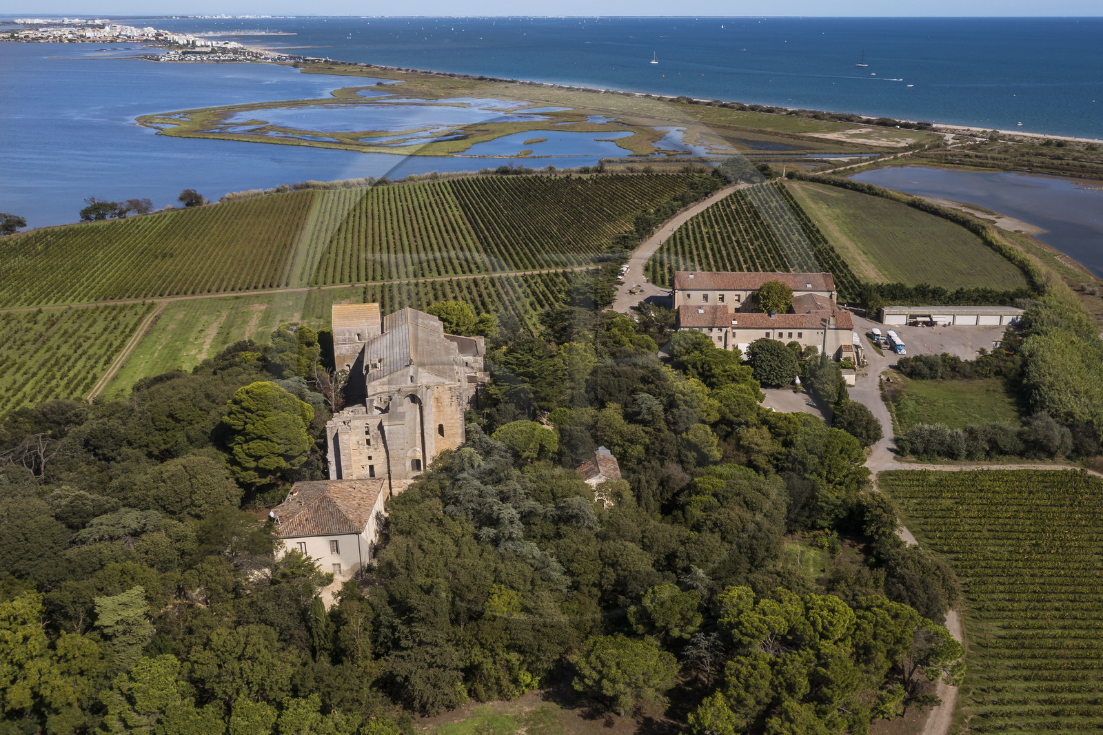 France, Hérault (34), Villeneuve-lès-Maguelone (Palavas-Les-Flots), cathédrale Saint-Pierre-et-Saint-Paul de Maguelone des XIIème et XIIIème siècles entourée de vignes sur son île, l'Etang du Prévost et Palavas-Les-Flots en arrière plan (vue aérienne)