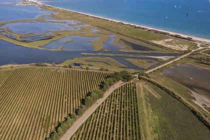 France, Hérault (34), Villeneuve-lès-Maguelone, vigne sur la partie sud de l'Ile de Maguelone et la plage du Pilou, l'Etang du Prévost et Palavas-Les-Flots en arrière plan (vue aérienne) France, Herault, Villeneuve les Maguelone (Palavas Les Flots), vineyard on the southern part of the island of Maguelone and the beach of Pilou, the Prévost pond and Palavas Les Flots in the background (aerial view)
