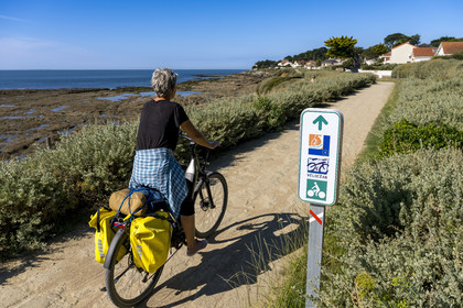 France, Loire-Atlantique (44), Préfailles, piste cyclable dédiée à la Vélodyssée longeant l'océan