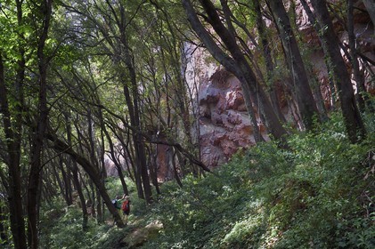 France, Var, between Bagnols en Foret and Roquebrune sur Argens, hike in the Gorges du Blavet