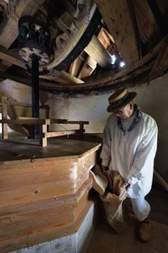 France, Var, Presqu'ile de Saint-Tropez, Ramatuelle, Paillas windmill, a volunteer and amateur miller