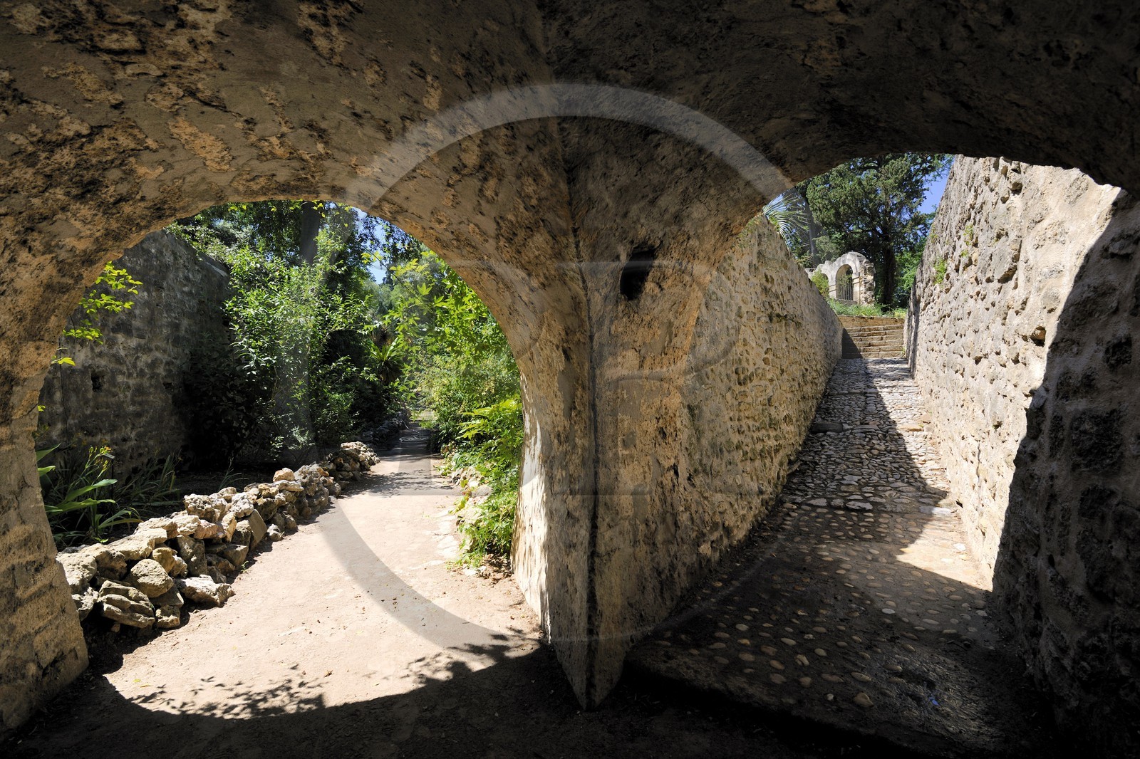France, Hérault (34), Montpellier, le Jardin des Plantes