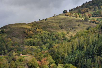 France, Haut Rhin, Husseren Wesserling, meadow on the rock of Malakoff