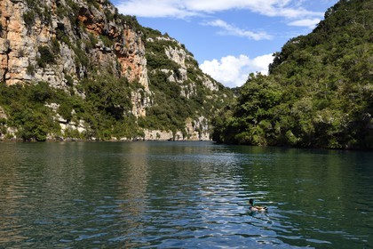 France, Alpes-de-Haute-Provence (04), Parc Naturel Régional du Verdon, Basses Gorges du Verdon en aval du lac de Sainte Croix