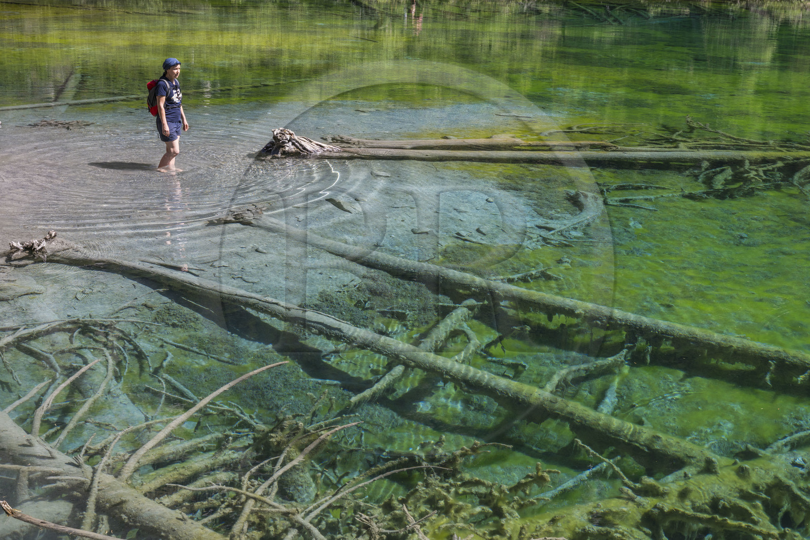 France, Hautes Alpes (05), Névache, la Vallée Étroite à la frontière italienne, le lac Vert (alt. 1834 m) France, Hautes Alpes (05), Névache, la Vallée Étroite à la frontière italienne, le lac Vert (alt. 1834 m)
