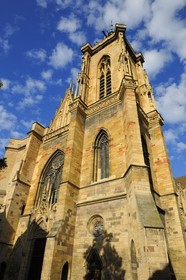 France, Haut-Rhin (68), Colmar, cathédrale collégiale Saint-Martin