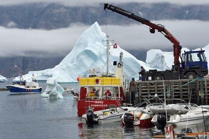 Groenland, cote ouest, Uummannaq, bateau de pêche déchargeant dans le port et icebergs en arrière plan