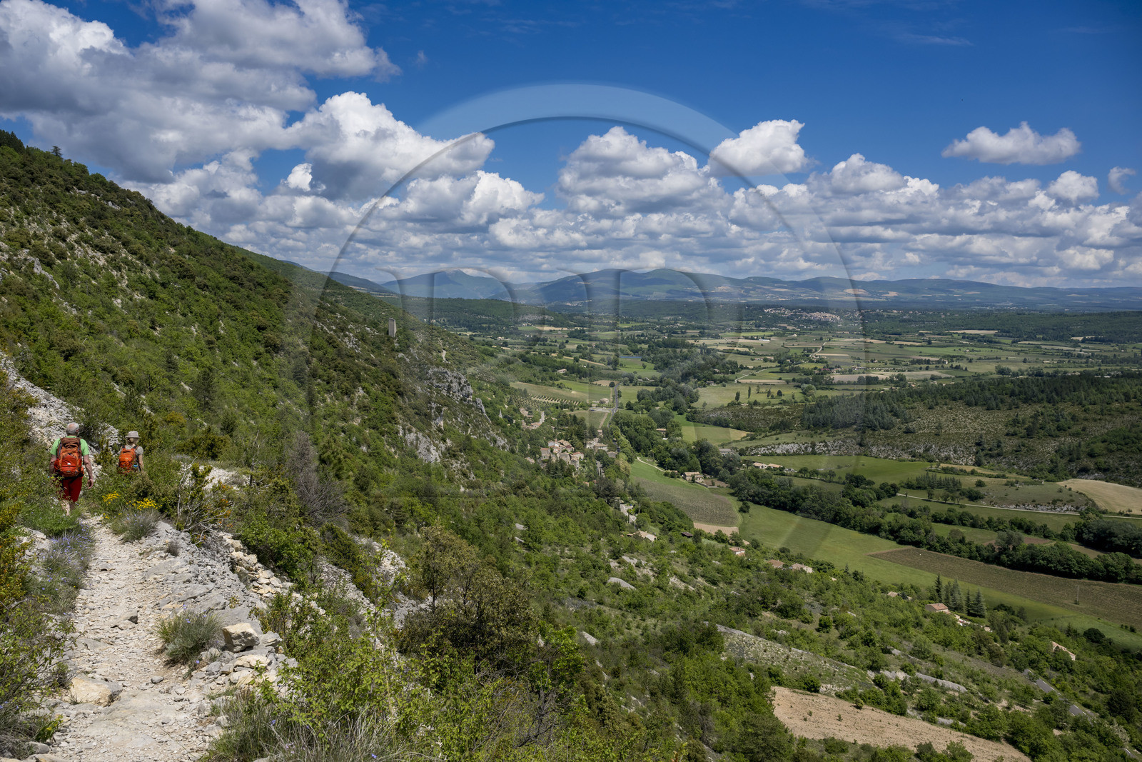 France, Vaucluse (84), Parc naturel régional du Mont Ventoux, Monieux, descente vers Monieux (en arrière plan) à la sortie des Gorges de La Nesque