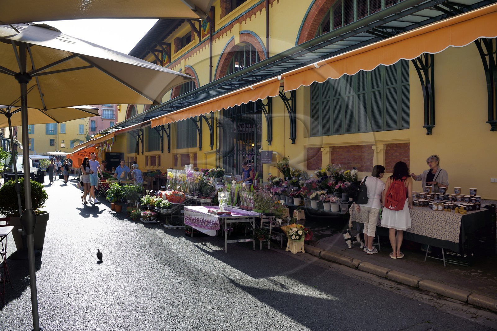 France, Alpes-Maritimes (06), Menton, marché couvert, halle municipale