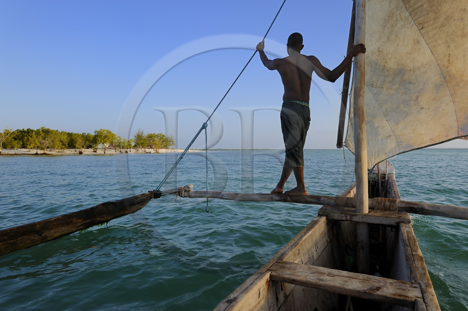Tanzanie, archipel de Zanzibar, île de Unguja (Zanzibar), côte est, baie de Chwaka vers Michamvi, un dhow (boutre traditionnel)