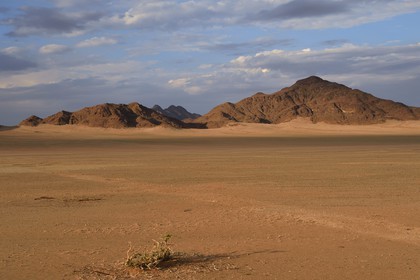Namibie, région de Hardap, désert du Namib à l'Est du parc national Namib Naukluft vers Sossusvlei