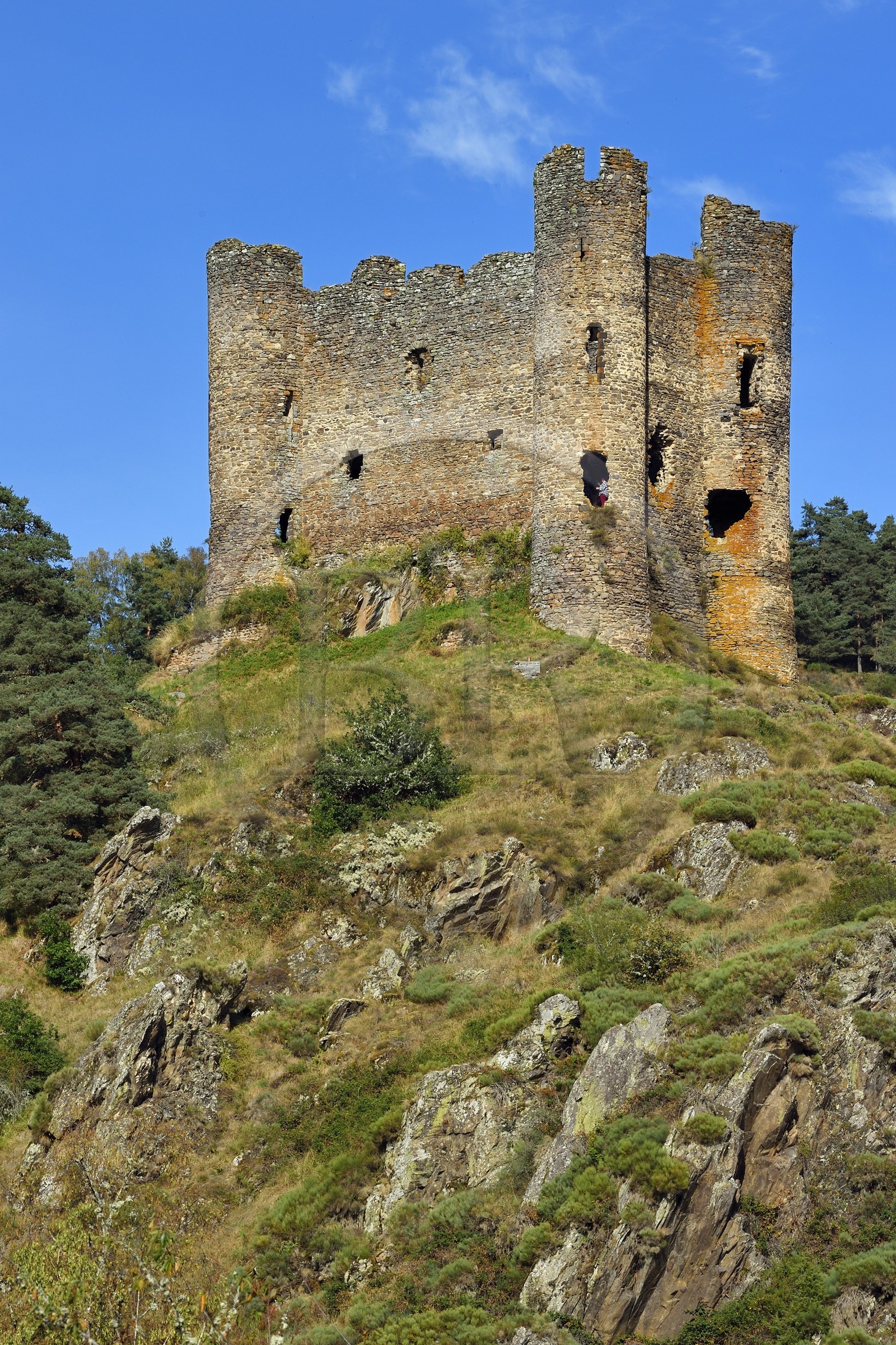 France, Cantal, Gorges de la Truyere (Truyere river canyon), Alleuze, perched feudal ruins of the 13th century castle of Alleuze rebuilt in 1405