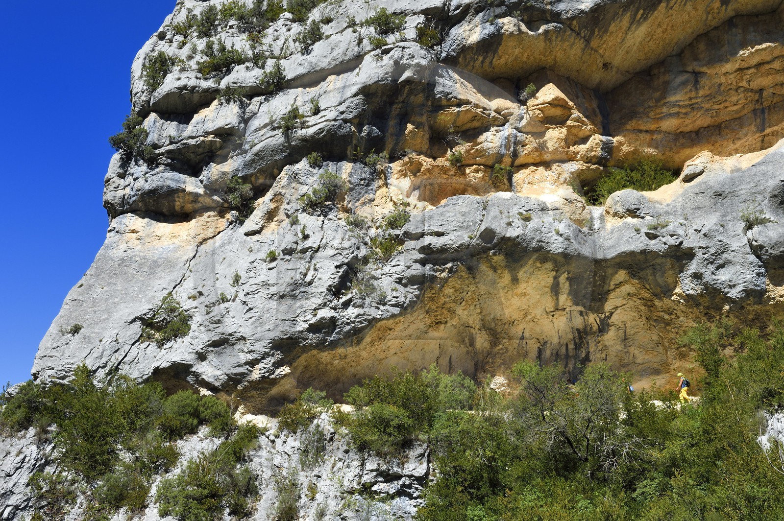 France, Alpes-de-Haute-Provence (04), Parc Naturel Régional du Verdon, les Gorges du Verdon en contrebas du village de Rougon et du Point Sublime