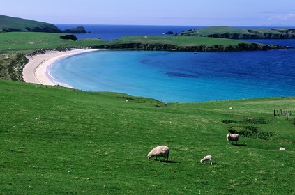 United Kingdom, Scotland, Shetland islands, South of Mainland, West coast, white sand beach