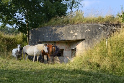 France, Haut Rhin, Sundgau, Bettlach, the path of the casemates in the footsteps of the Maginot Line