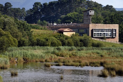 Spain, Basque Country, Biscay Province, Gernika-Lumo region, Urdaibai estuary Biosphere Reserve, Urdaibai Bird Center and gray heron (Ardea cinerea) flying