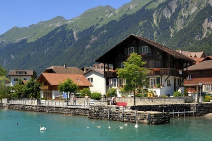 Switzerland, Canton of Bern, Bernese Oberland, Lake Brienz (Brienzer See), Brienz village, Harbour
