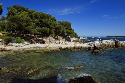 France, Alpes-Maritimes, Lerins Islands, Sainte-Marguerite island, Dragon point