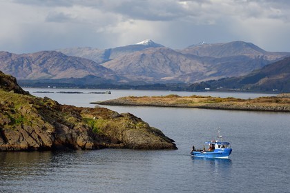 Royaume-Uni, Ecosse, Highland, Argyll and Bute, Oban, pecheurs dans les ilots du Loch Linnhe à l'Est de l'Ile de Mull