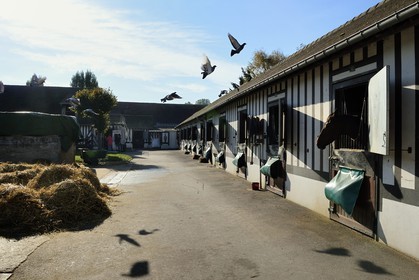 France, Calvados, Pays d'Auge, Deauville, Racecourse of Deauville-La Touques, the stables