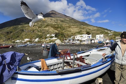 Italie, Sicile, iles Eoliennes, classées Patrimoine Mondial de l'UNESCO, ile de Stromboli, le pecheur Roberto Cusolito vidant ses poissons sur la plage de Scari et le volcan du Stromboli en arrière plan