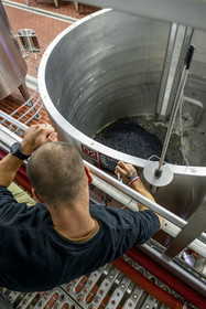 France, Côte-d'Or (21), les climats de Bourgogne classés Patrimoine Mondial de l'UNESCO, Beaune, Cuverie des Hospices de Beaune, mise en cuves thermorégulées du raisin après le tri et l'éraflage