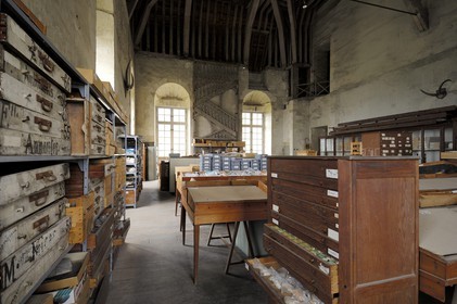 France, Loir et Cher, Loire Valley listed as World Heritage by UNESCO, Chateau de Blois, reserves of natural history museum in the attic of Gaston d'Orleans wing
