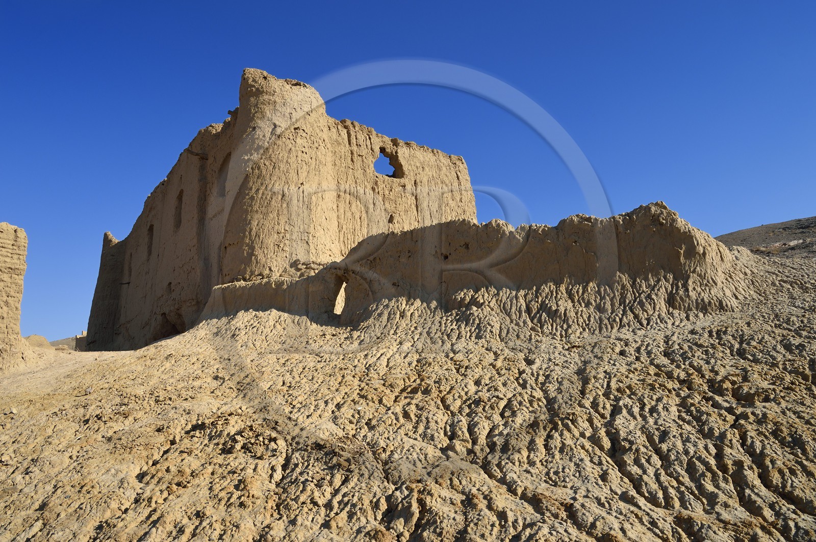 Iran, Province de Yazd, désert du Dasht-e Kavir, Moghestan, ruines du fort monastère où vivaient des religieux zoroastriens, Mogh signifie chef religieux dans les croyances zoroastriennes et Moghestan signifie terre de Moghs