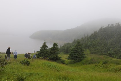 Canada, Newfoundland and Labrador Province, Newfoundland Island, Corner Brook Fjord, on the Capitain Cook's footsteps
