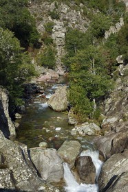 France, Corse du Sud, Prunelli river valley, Prunelli gorges