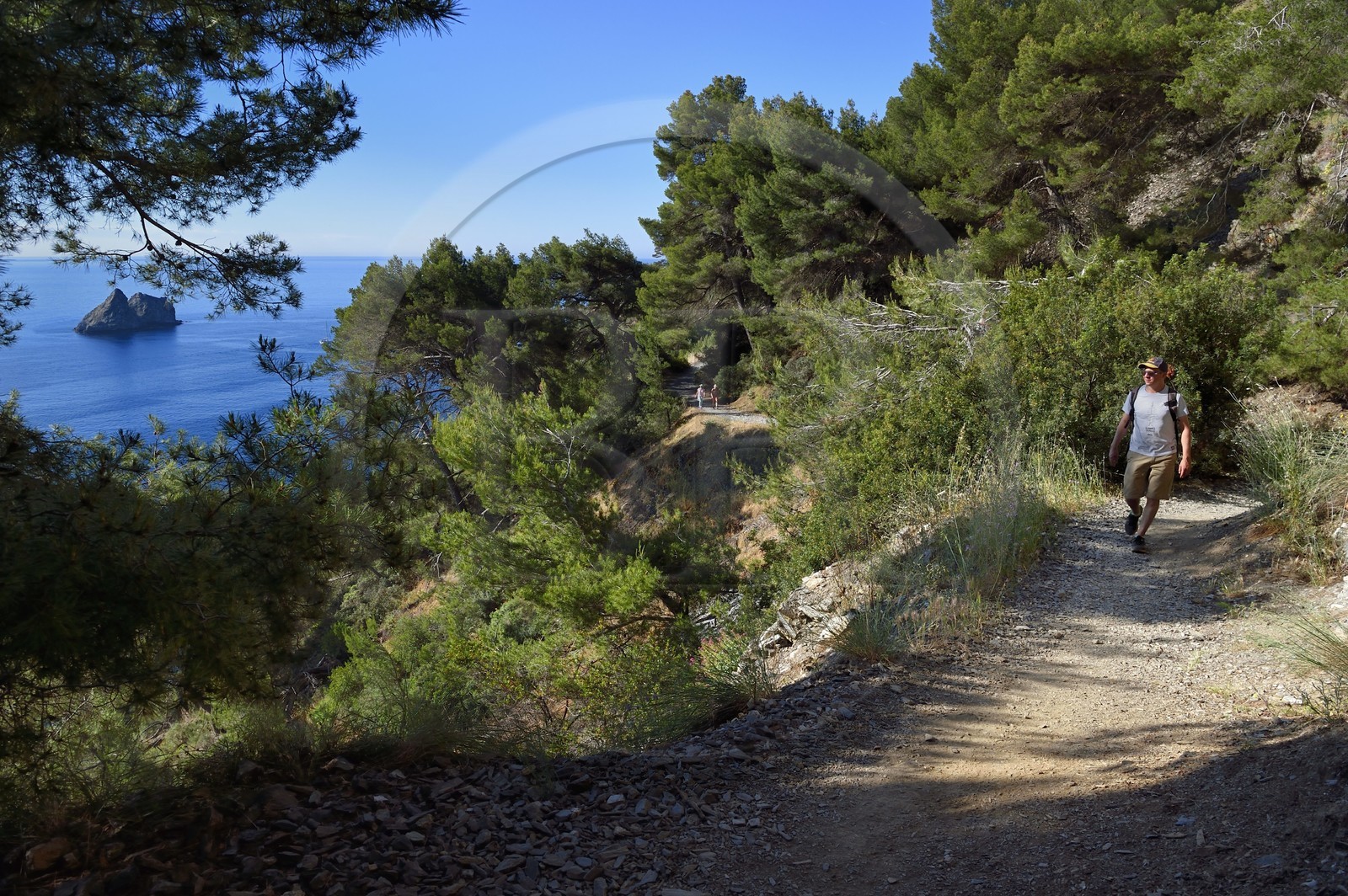 France, Var (83), La Seyne-sur-Mer, randonnée dans le massif du Cap Sicié le long du chemin du Joncquet en contrebas de la Corniche Merveilleuse, le Rocher des Deux Frères France, Var (83), La Seyne-sur-Mer, randonnée dans le massif du Cap Sicié le long du chemin du Joncquet en contrebas de la Corniche Merveilleuse, le Rocher des Deux Frères