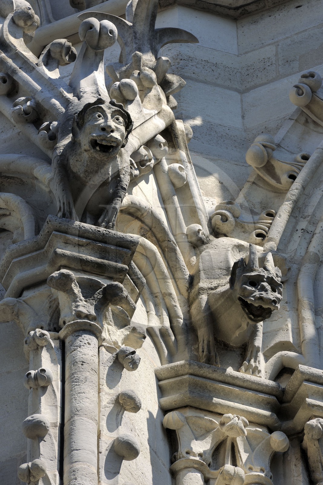 France, Paris (75), île de la Cité, la cathédrale Notre-Dame