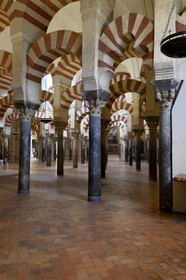Spain, Andalusia, Cordoba, historical center listed as World Heritage by UNESCO, Mezquita, the Mosque cathedral, the forest of arches and colonnades illustrates the monumentality of the Umayyad Art of Cordoba