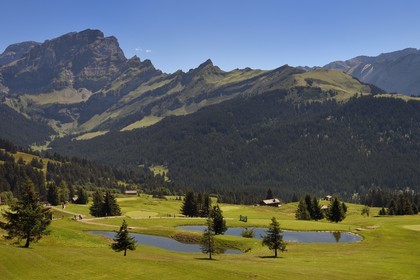 Switzerland, Canton of Vaud, Villars-sur-Ollon, 18 hole golf course at Plan du Four