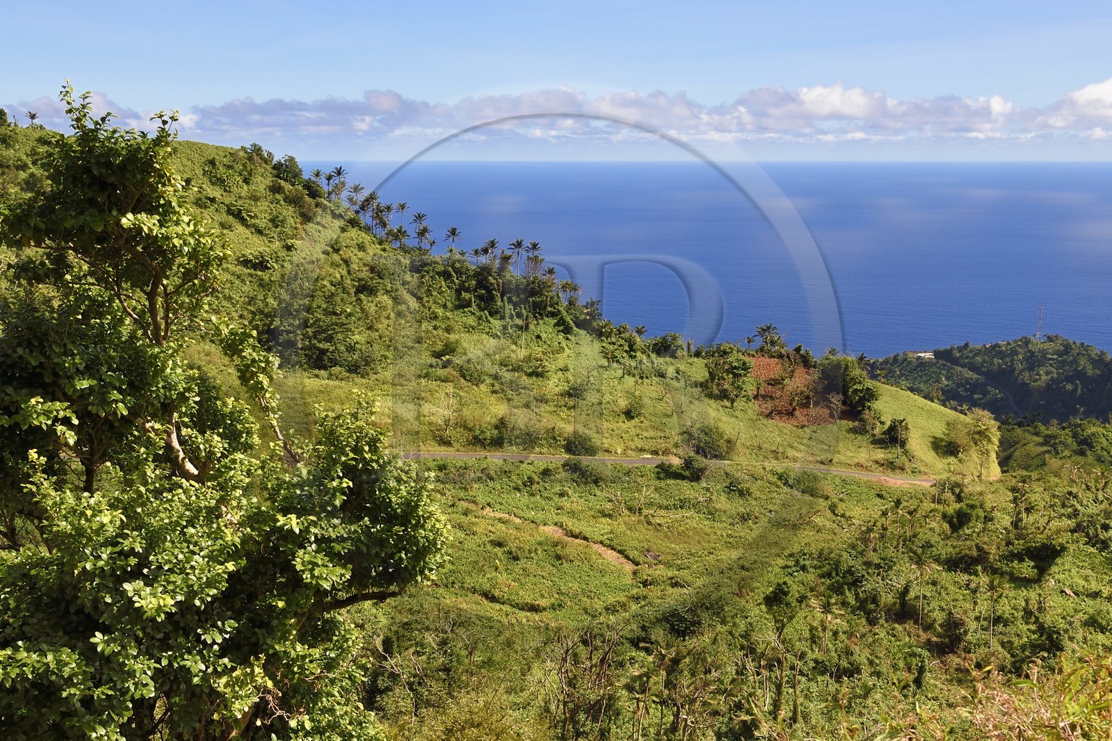 Caraïbes, Ile de la Dominique, côte nord de l'île vers le village de Pennville