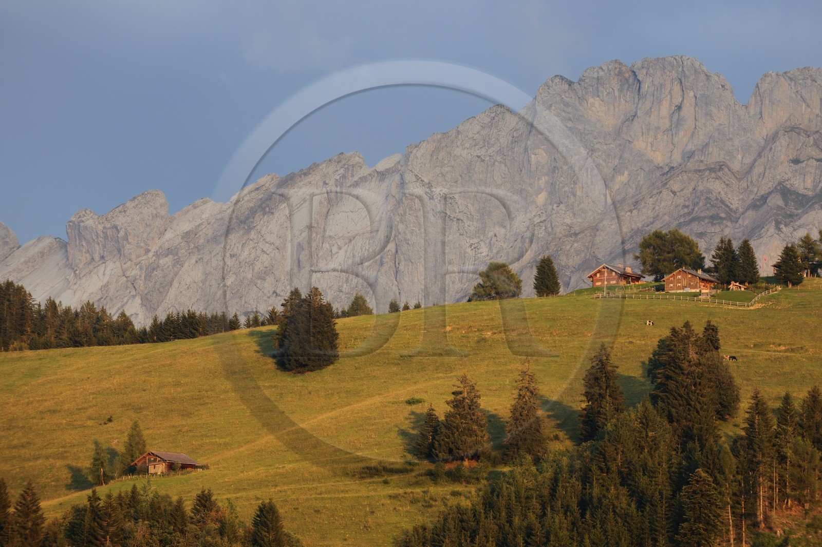 Suisse, canton de Vaud, Villars-sur-Ollon au Col de la Croix