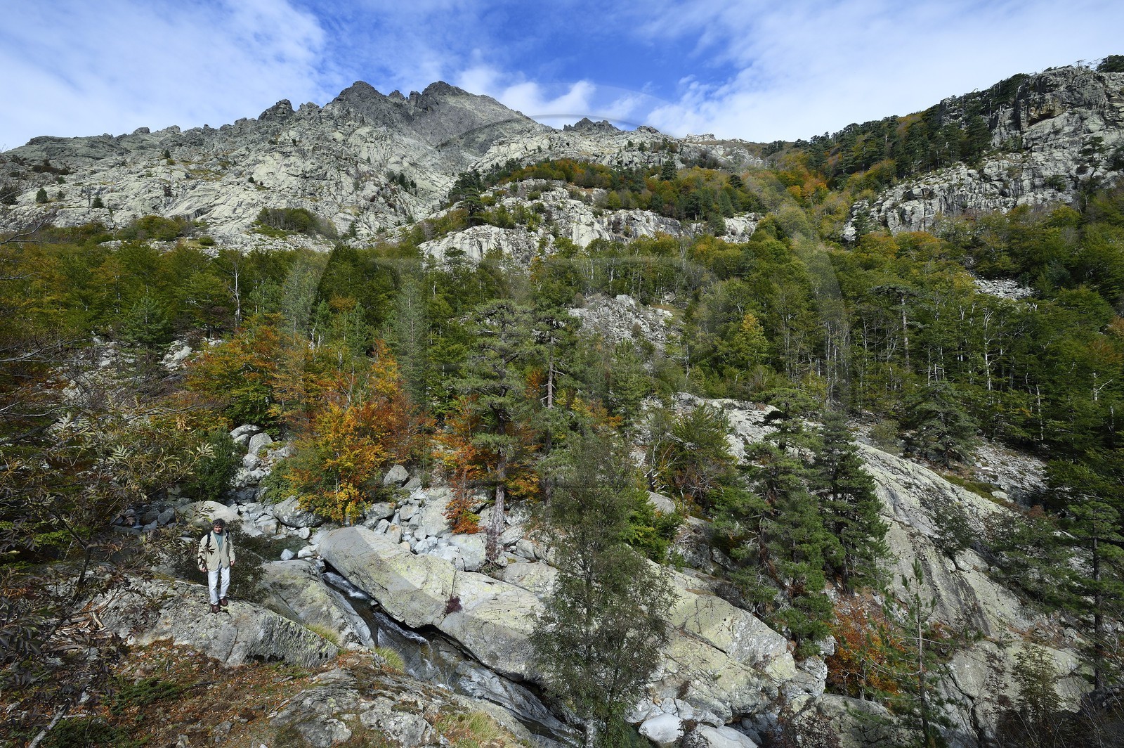 France, Haute-Corse (2B), Vivario, GR 20, étape entre le refuge de l'Onda et Vizzavona, foret de Vizzavona, les cascades des anglais, groupe de cascades dans la vallée de l'Agnone au pied du Monte d'Oro