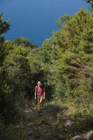 Italy, Liguria, Cinque Terre National Park listed as World Heritage by UNESCO, village of Monterosso al Mare, hike on the GR 582 path between the sanctuary of Nostra Signora de Soviore and Nostra Signora di Reggio on the heights of Vernazza