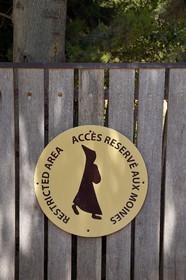 France, Alpes-Maritimes (06), Cannes, Iles de Lérins, Ile de Saint-Honorat, oliveraie et vignoble dont l'entrée est réservée aux moines