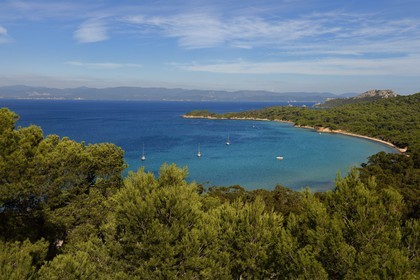 France, Var (83), Iles d'Hyères, parc national de Port Cros, Ile de Porquerolles, plage de la Courtade