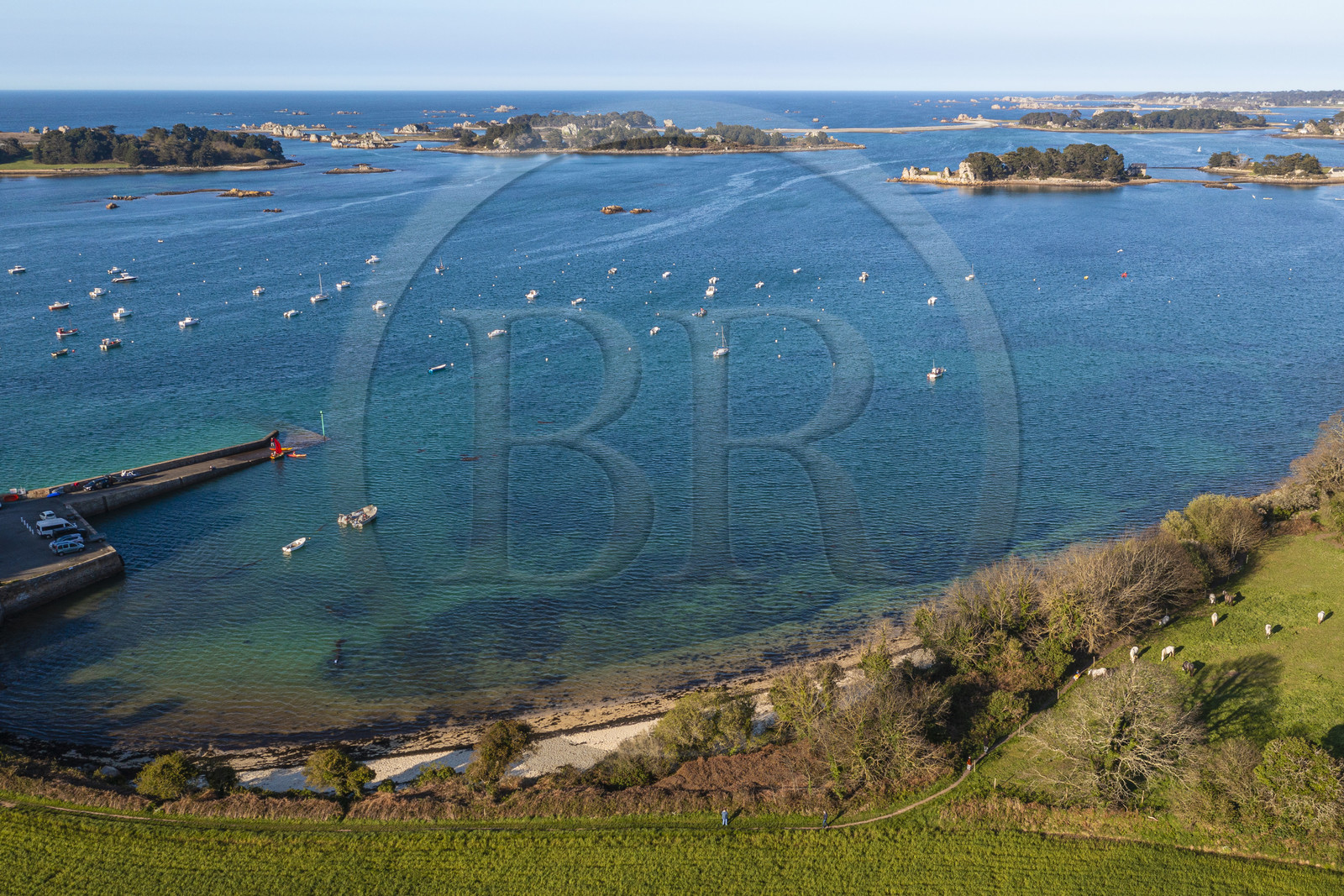 France, Côtes-d'Armor (22), Côte d'Ajoncs, Penvénan, Port Blanc, l'Anse de Pellinec avec le petit port de Port Blanc et chevaux au paturage en bordure de mer, les Iles de Saint Gildas et du Milieu en arrière plan (vue aérienne)